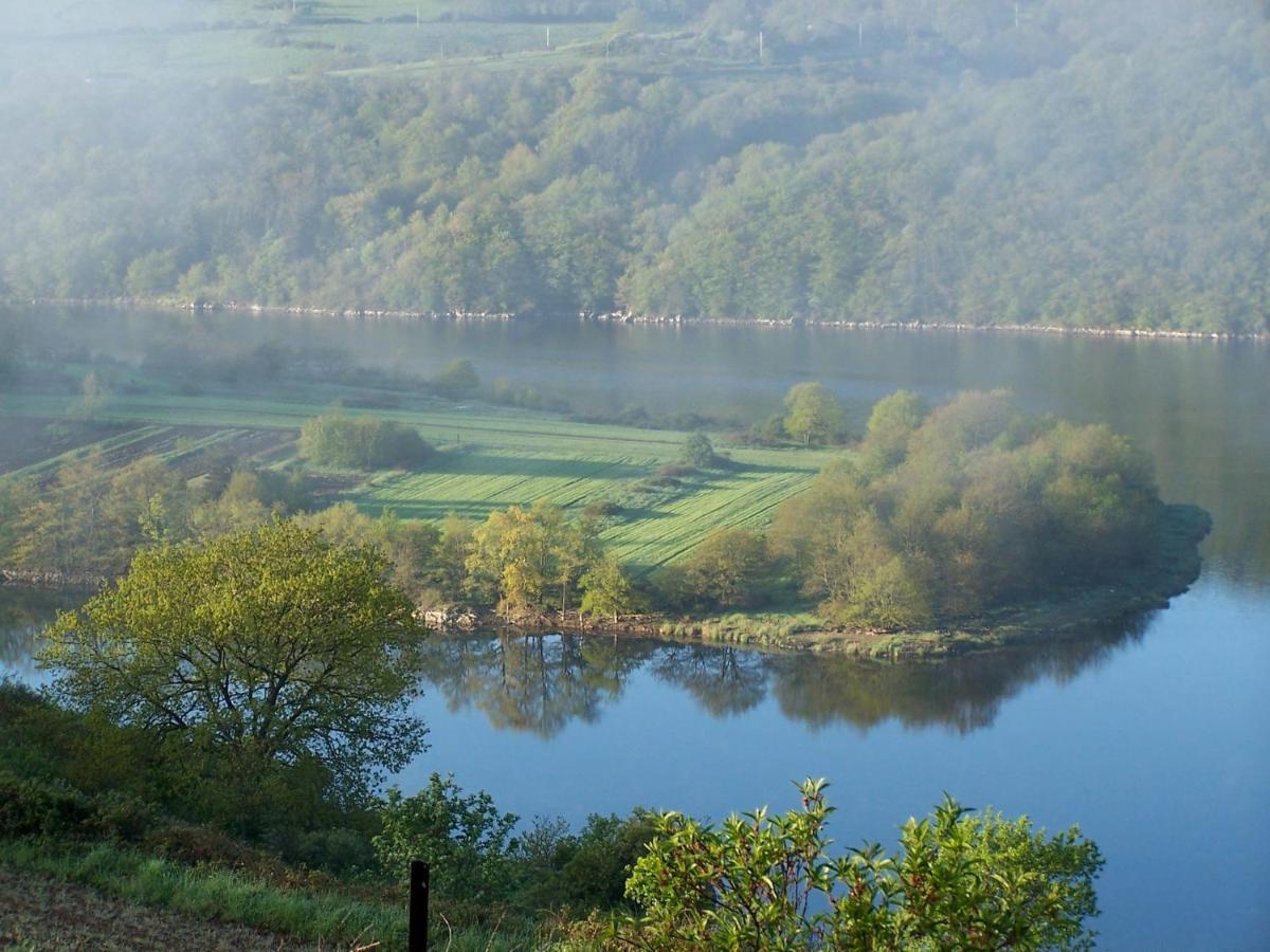 O Fil De L'Eau - Gite En Bord De Lac Saint-Jean-Saint-Maurice-sur-Loire Buitenkant foto