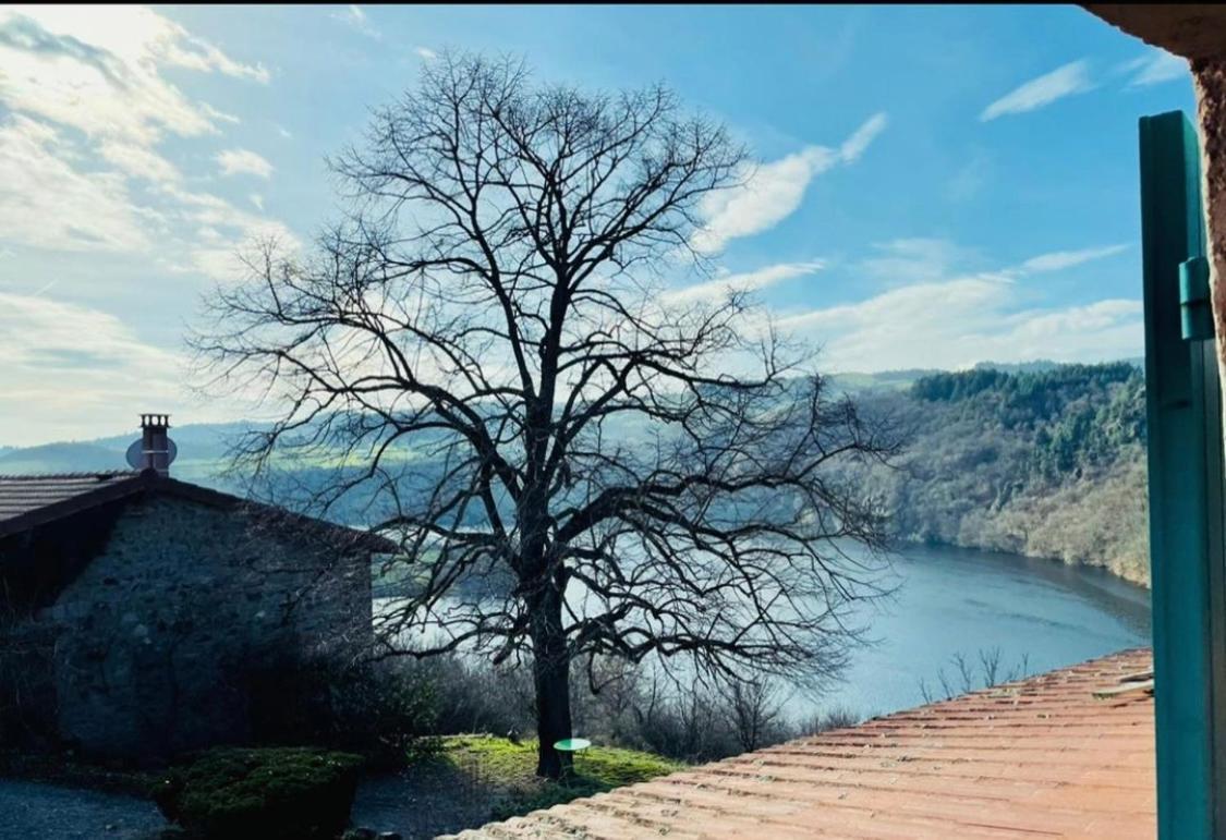 O Fil De L'Eau - Gite En Bord De Lac Saint-Jean-Saint-Maurice-sur-Loire Buitenkant foto
